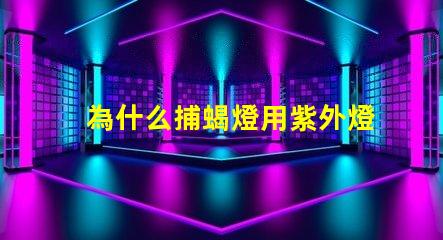 為什么捕蝎燈用紫外燈珠 為什么Xe燈是紫外光源
